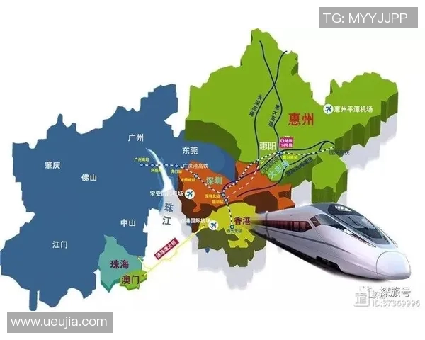 广州网球队的运营策略深度分析与发展前景展望 广州网球队的运营策略深度分析与发展前景展望