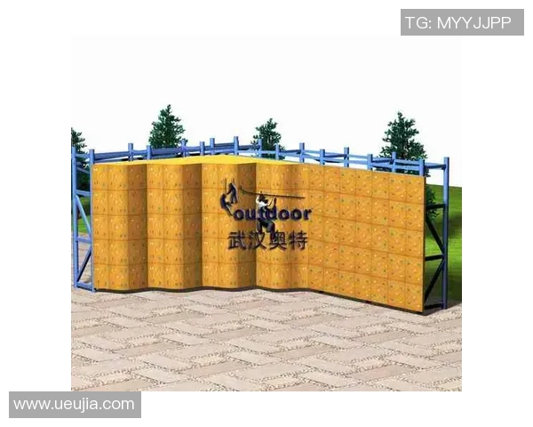 武汉攀岩队个人能力分析与表现评估的综合研究报告 武汉攀岩队个人能力分析与表现评估的综合研究报告