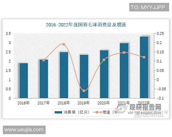 武汉羽毛球队意识表现的数据分析与提升策略探讨 武汉羽毛球队意识表现的数据分析与提升策略探讨