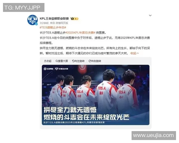 王者荣耀意识排名新突破TES战队表现引发热议与关注