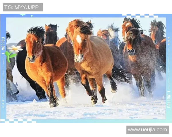 职业联赛分析:JDG在耐力赛中的卓越表现与战术解析