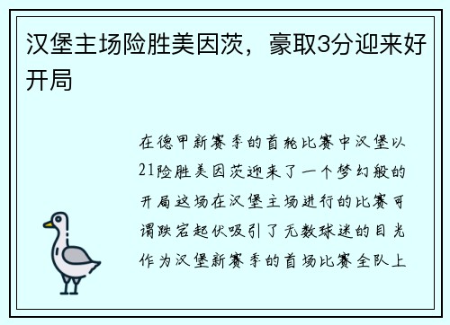 汉堡主场险胜美因茨，豪取3分迎来好开局