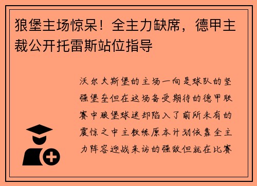 狼堡主场惊呆！全主力缺席，德甲主裁公开托雷斯站位指导