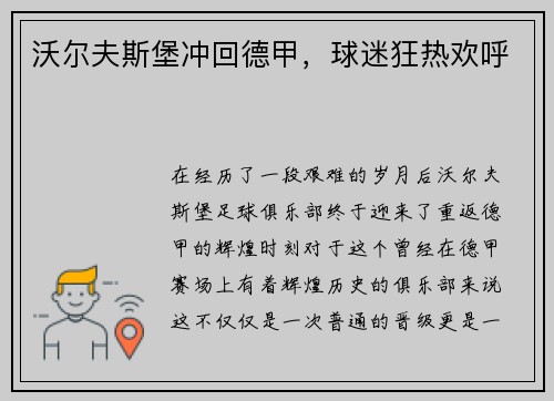 沃尔夫斯堡冲回德甲，球迷狂热欢呼